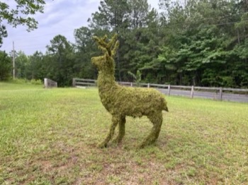 Stag Deer Topiary